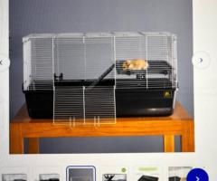 Extra Large Hamster Cage Setup – Complete Starter Kit!
