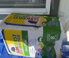 Male Teddy Guinea Pig for Rehoming - Complete Setup Included