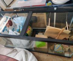 Custom Hamster Cage