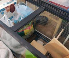 Custom Hamster Cage